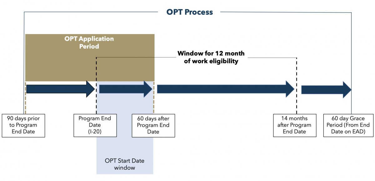 Optional Practical Training OPT International Services Office